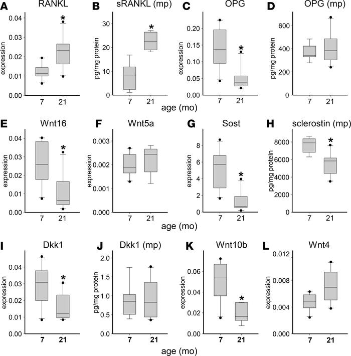 Osteocyte-enriched bone from aged mice exhibits changes in the expressio...