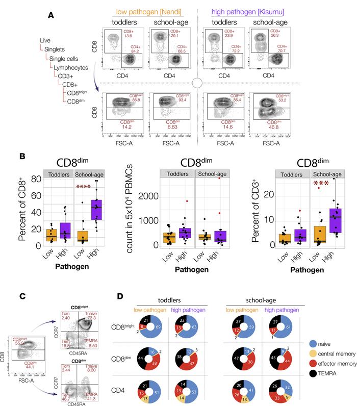 Cumulative pathogen burden promotes the development of CD3+ CD8dim T cel...