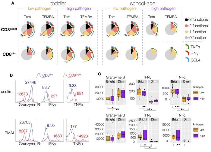 Atypical Granzyme B+ IFNγlow TNFαlow CD3+ CD8dim T cells arise in school...