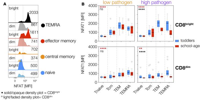 CD3+ CD8dim T cells from school-age children living in areas of high pat...