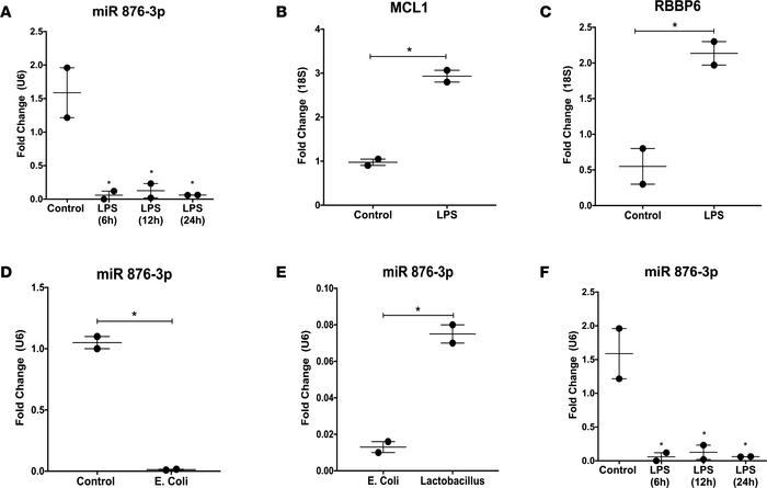 Proteobacteria exposure decreases miR 876-3p expression in vitro.
Normal...