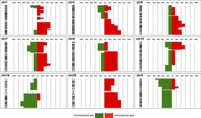 The most frequent chromosomal copy number alterations in UUS.
Only chrom...