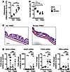Chronic CS exposure predisposes to TNBS-induced experimental colitis.