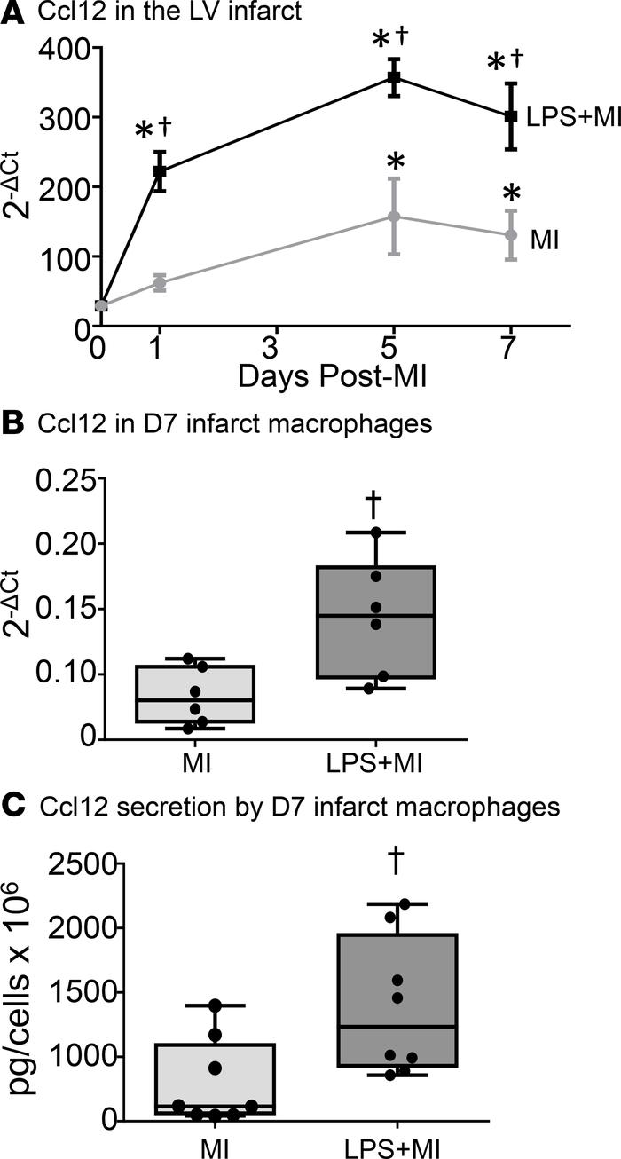 Chronic inflammation enhanced macrophage secretion of Ccl12, a proinflam...
