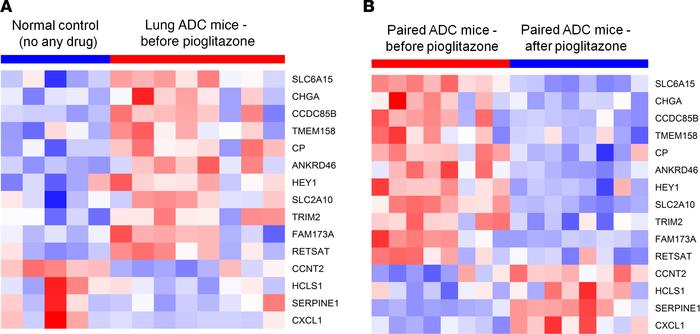Heatmap of the Kras oncogenic gene signatures.
Heatmap of the Kras oncog...
