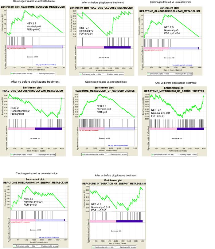 The GSEA plots of the activity changes of the glucose metabolism REACTOM...