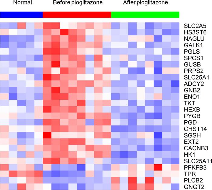 Heatmap showing that the expression of the majority of the significantly...