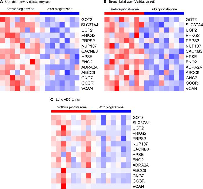 Heatmap showing the 14 glucose metabolism genes.
Heatmap showing the 14 ...