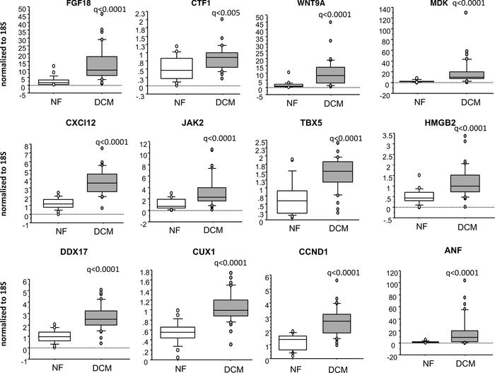 Genes involved in pluripotency are uniquely dysregulated in pediatric DC...