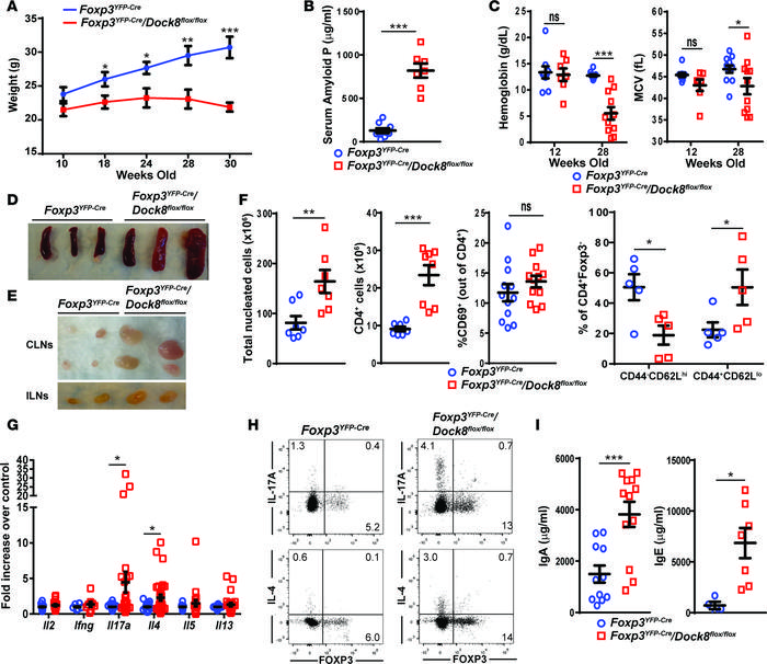 Mice with Treg-specific DOCK8 deficiency develop weight loss, splenomega...