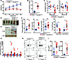 Mice with Treg-specific DOCK8 deficiency develop weight loss, splenomegaly,