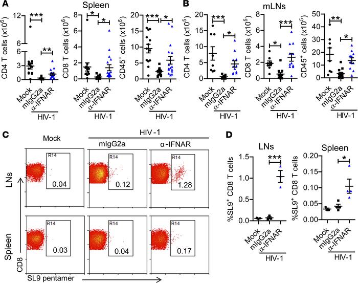 IFNAR1 blockade during persistent HIV-1 infection rescues human T cells ...