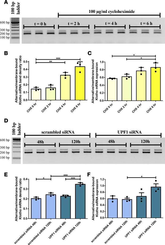 Blocking nonsense-mediated mRNA decay, using cycloheximide or by silenci...