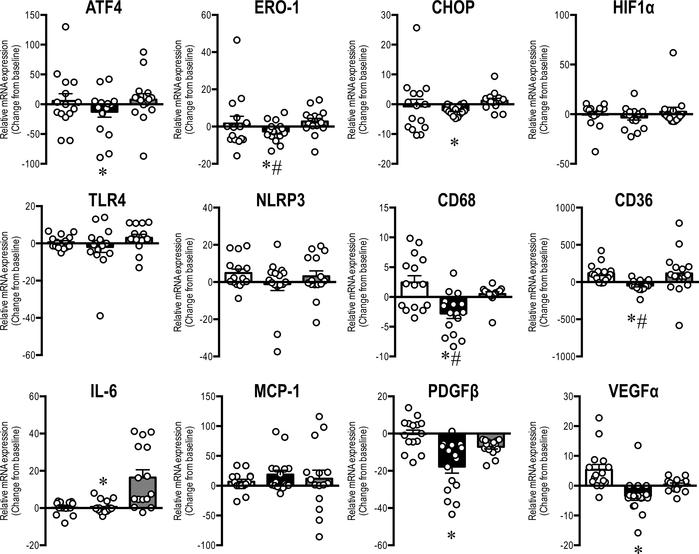 Effects of intervention on mRNA expression of ER stress and inflammatory...