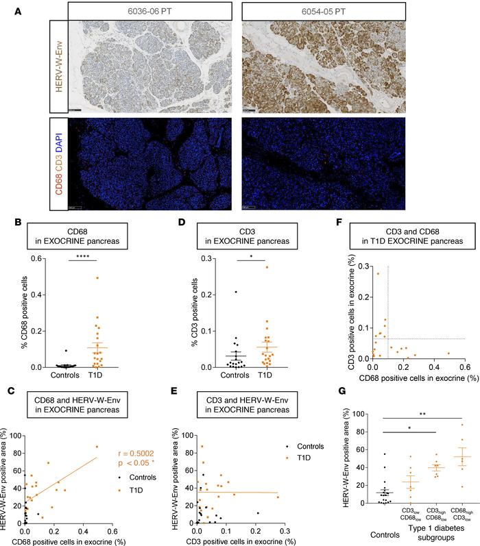 Proinflammatory features associated with HERV-W-Env expression within th...