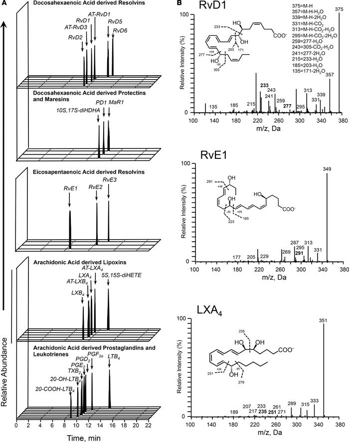 Human skin blister bioactive LM-SPM signature profiles.
Acute inflammati...