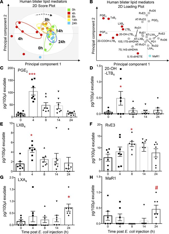 Temporal shift in LM-SPM concentrations in human skin blister exudates d...