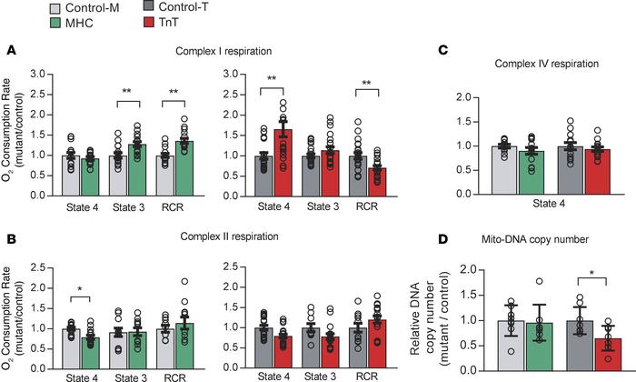 Mitochondrial studies.
Respirometry: Mitochondria were freshly isolated ...