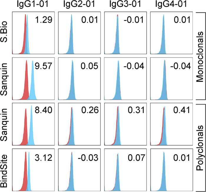 Reactivity of anti-IgG1 monoclonal and polyclonal reagents with canonica...