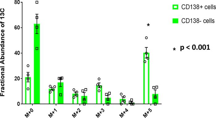 Glutamine uptake is higher in BM plasma cells compared with the remainde...