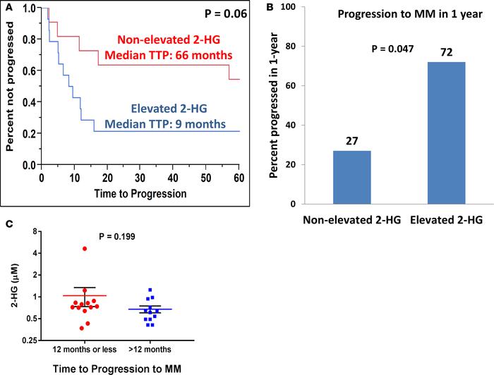 2-HG levels in the peripheral blood predicts for shorter time to progres...
