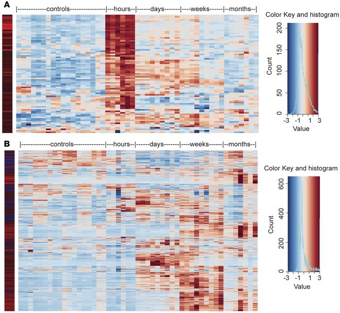 Overlap of mouse IRI with published human kidney transplant profiles.
He...