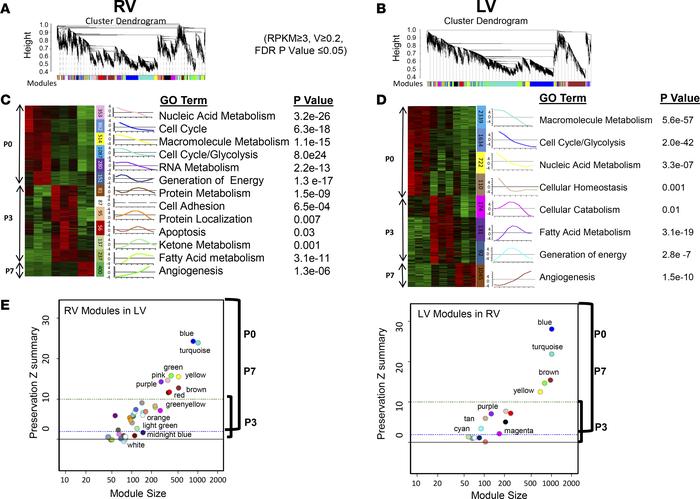 Weighted gene network coexpression analysis (WGCNA) reveals stage-specif...