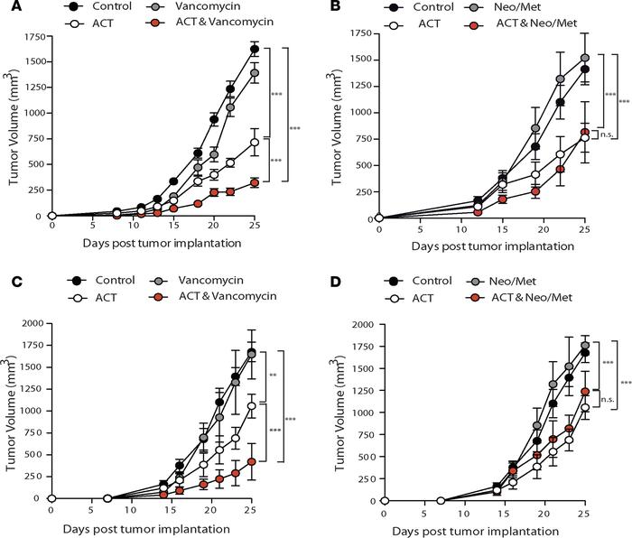 The efficacy of ACT is increased by vancomycin but not neomycin/metronid...