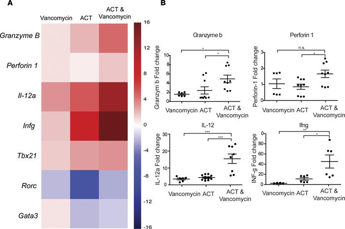 Increased expression of genes associated with cytotoxic and Th1 profiles...