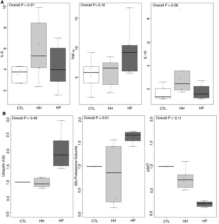 The analysis of cytokines and tissue markers of protein homeostasis in C...