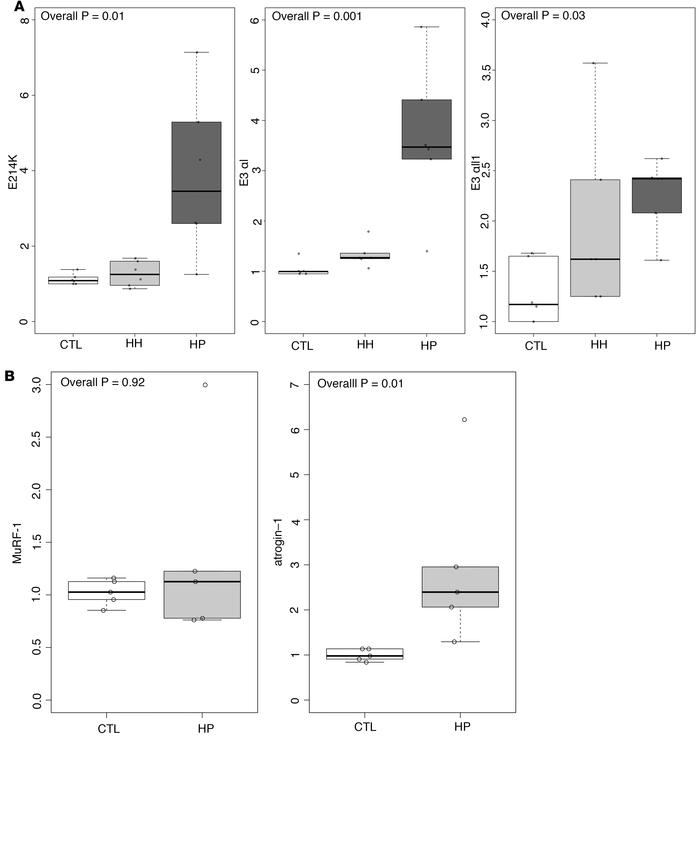 Further analysis of cytokines and tissue markers of protein homeostasis ...