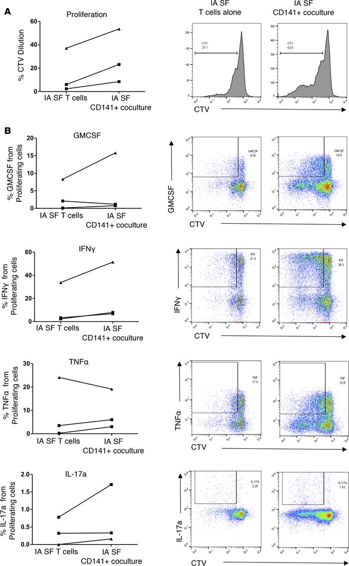 Synovial CD141+ DC induce enhanced CD4+ T cell responses in autologous c...
