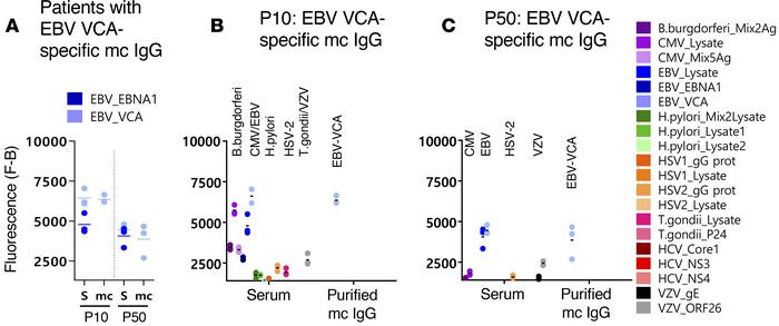 Results of 2 patients with EBV VCA–specific mc IgG.
For each patient, re...