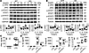 Swiprosin-1 deficiency attenuates the activation of the JAK2/STAT1/STAT3 pa