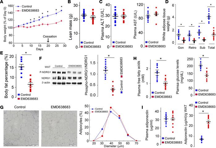 SGK1 inhibitor EMD638683 prevents diet-induced obesity in Akt3–/– mice.
...