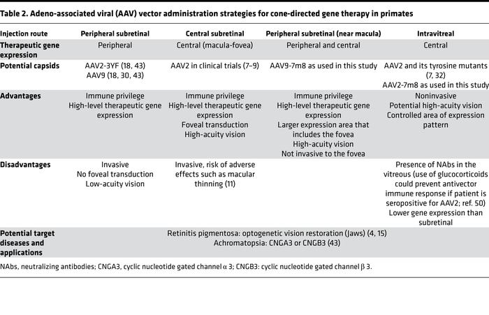 Adeno-associated viral (AAV) vector administration strategies for cone-d...
