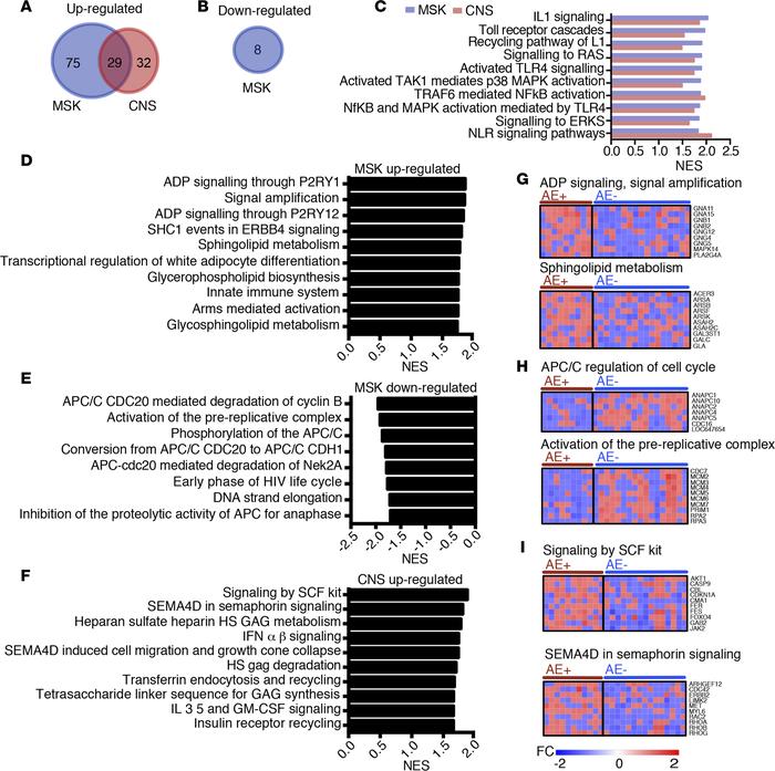 Genes that are differentially expressed in vaccinees with MSK and CNS AE...