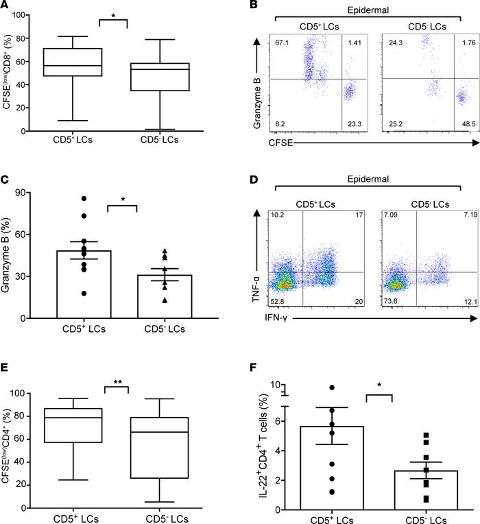 Functional characterization of CD5+ and CD5– LC subsets.
(A) The percent...
