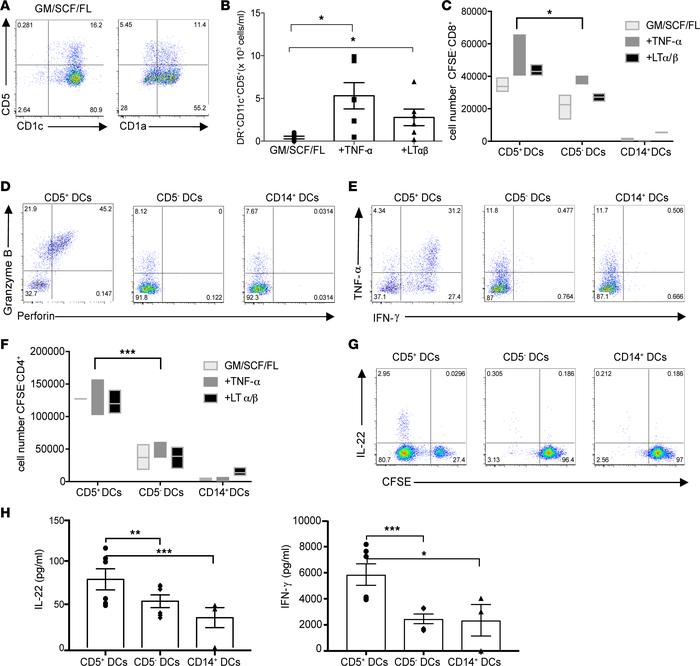 CD5 marks a functional terminally differentiated DC subset.
(A) The plot...