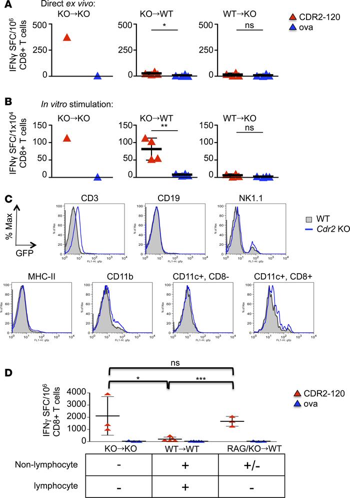 T cell expression of CDR2 is sufficient to confer tolerance.
IFN-γ ELISP...