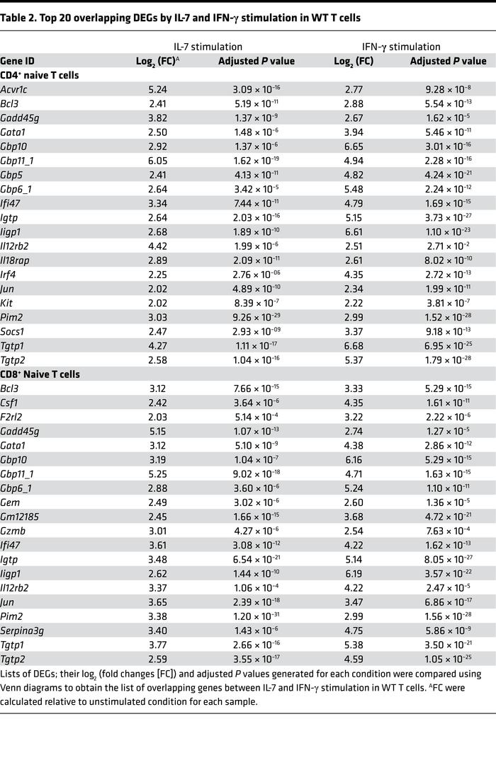 Top 20 overlapping DEGs by IL-7 and IFN-γ stimulation in WT T cells