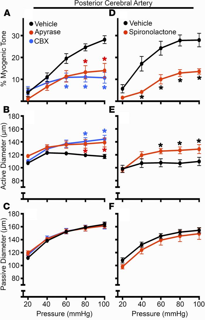 Degradation of extracellular nucleotides or inhibition of Panx1 channels...