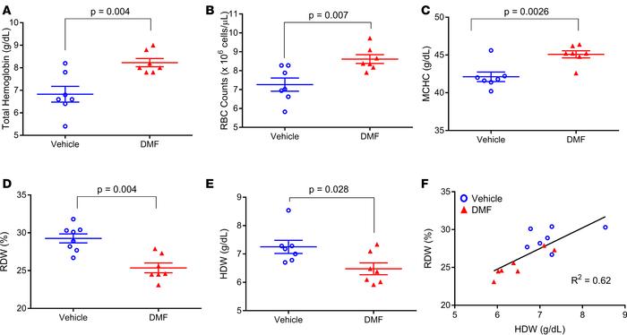 Chronic DMF treatment increases total hemoglobin and improves rbc parame...