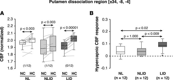 Hypercapnic cerebral blood flow responses in the putamen levodopa dissoc...