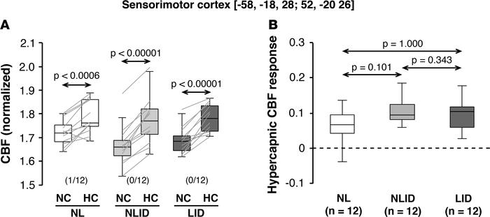 Hypercapnic CBF responses in the sensorimotor cortex.
Globally normalize...