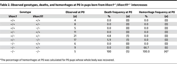 Observed genotypes, deaths, and hemorrhages at P0 in pups born from Vkor...