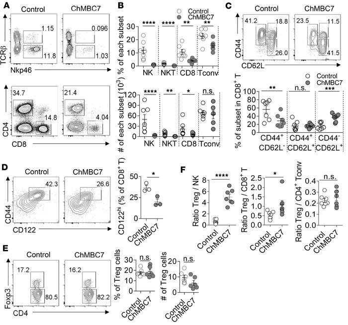 Anti-CD122 treatment alters immune compartment in pancreatic islets.
(A)...