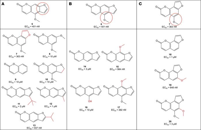 Optimization of C5 and C7 through modification of the furan ring and met...