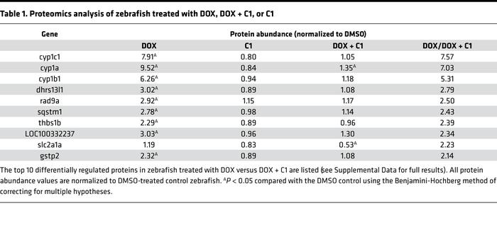 Proteomics analysis of zebrafish treated with DOX, DOX + C1, or C1