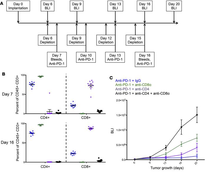 Depletion of T cell subsets synergistically affects anti–PD-1 therapeuti...